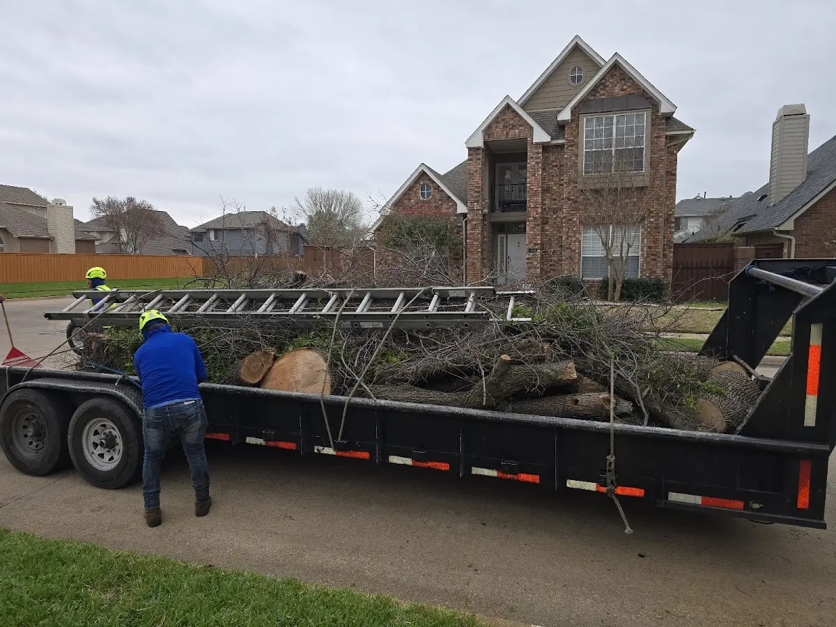 Expert Lot Clearing with proper safety equipment in Elcho